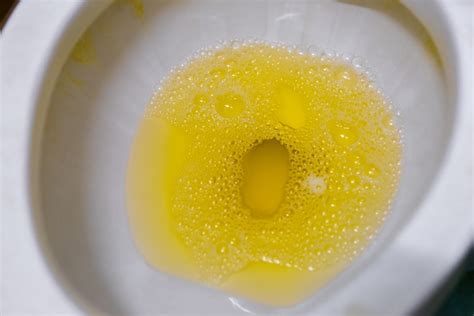 urine in toilet; submissive